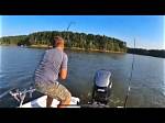 How Do You Catch Stripers at Raystown Lake?