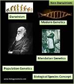 What Is Neo-Darwinism Theory of Evolution?
