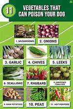What Vegetables Are Poisonous to Dogs?