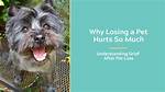 Why Is Losing a Dog So Painful?